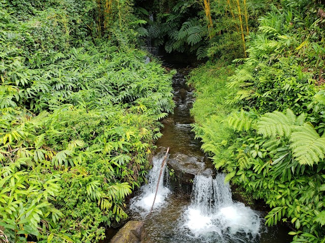 Akaka Falls