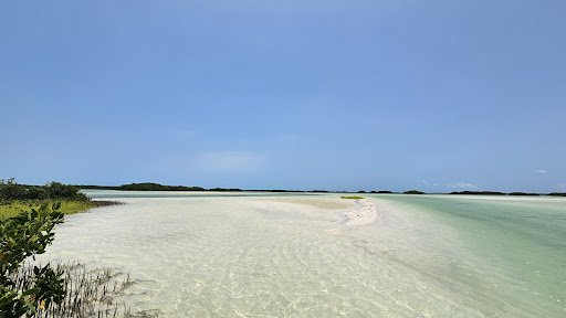 My Holbox Tours - Thumbnail