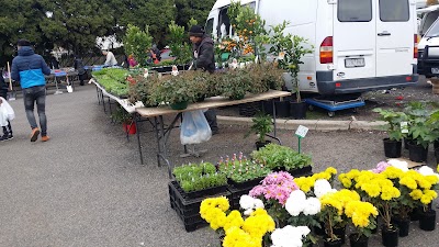 Photos of Laverton Market