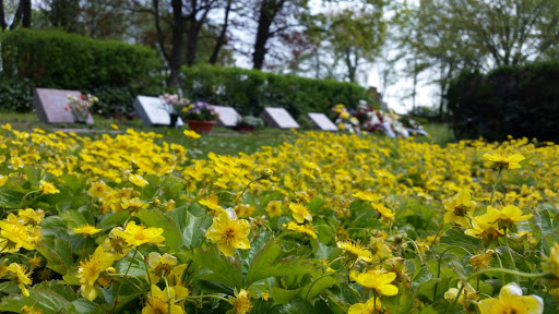 Friedhof Markranstädt - Thumbnail