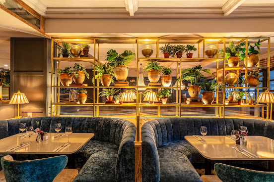 The Ashe Hotel by null