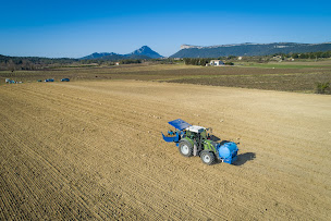 Photo n°28 de Domaine Uma à Valflaunès (Vignoble)