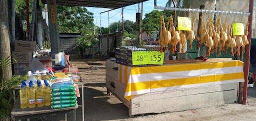 Gran Pollo - Visual