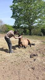 Photo n°15 de Équita-Nature à Granges-Aumontzey (Club équestre)