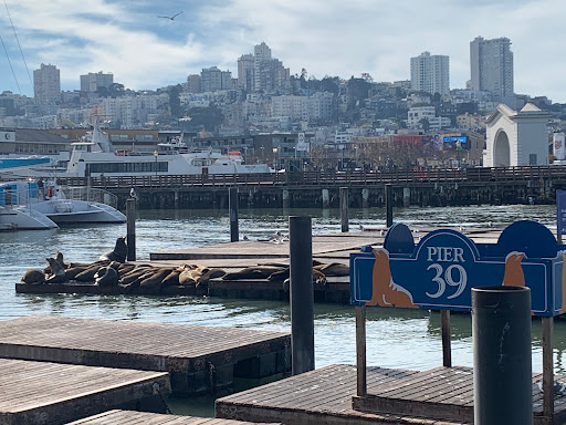 San Francisco Carousel at Pier 39 - Thumbnail