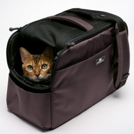Animaux Secur - Visual