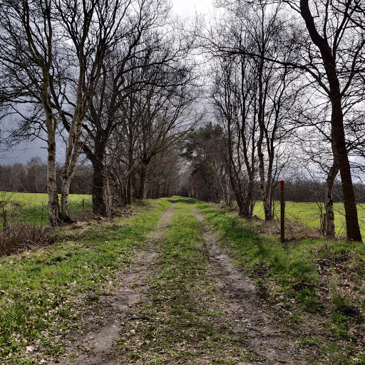 Bockhorner Moor - Thumbnail
