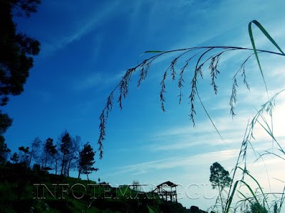 Photos of PANORAMA SEDADAP