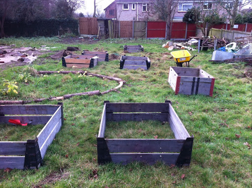 Billericay Community Garden - Thumbnail