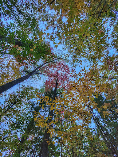 Grand Gap Loop Trailhead - Visual