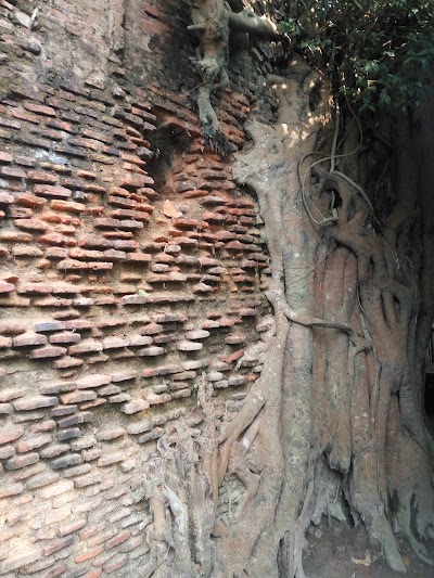 Photos of Temple of Binoy Sadhu.