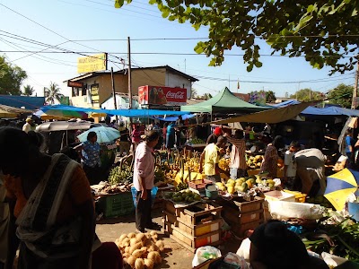 Photos of 255 Kottawa Bus Stop