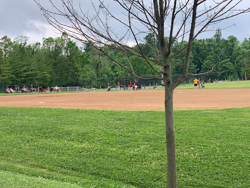 Kuliga Park - Visual