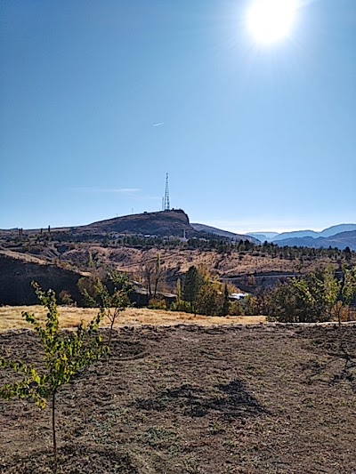 Ziraat Bankası Hekimhan/Malatya Şubesi