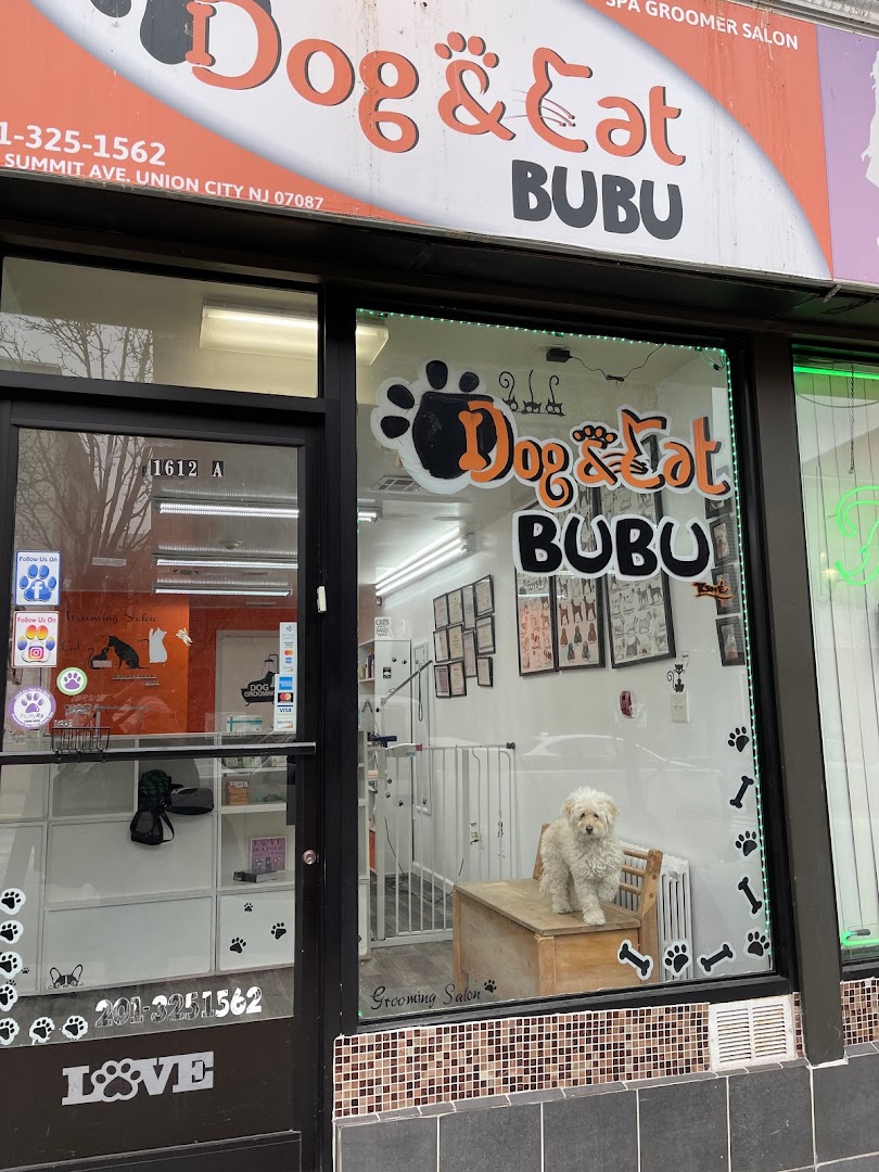 Dog & Cat Bubu pet grooming