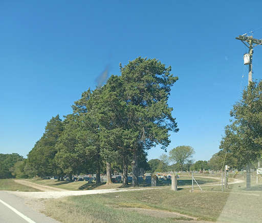 Vienna Public Cemetery - Thumbnail