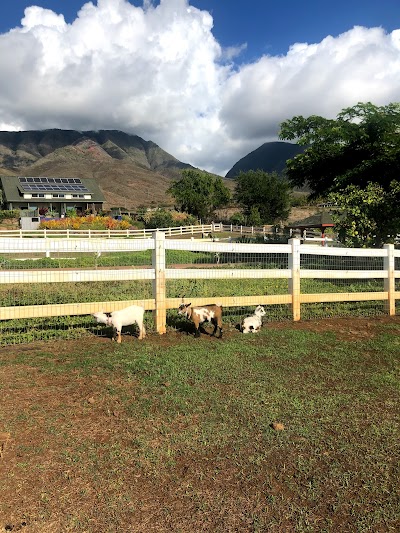 Lahaina Animal Farm & Petting Zoo