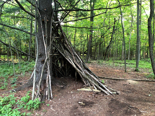 Log Tipi - Visual