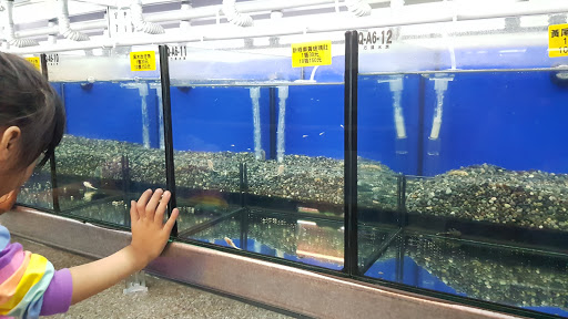 [巧遇水族館 水族店的外部或內部照片]
