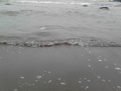 Photos of Batang Dolphins Center