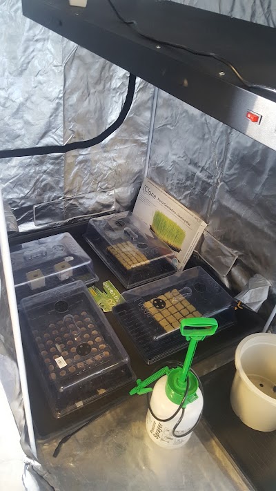 Photos of Grow Shop Plantas Holandesas