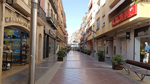 Tecnocasa Agencia Inmobiliaria