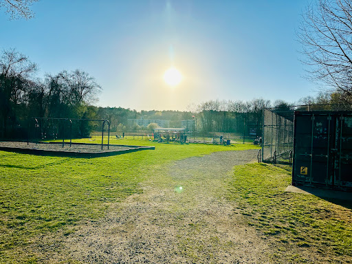 Conant Field - Visual