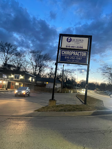 Old Town Veterinary Care