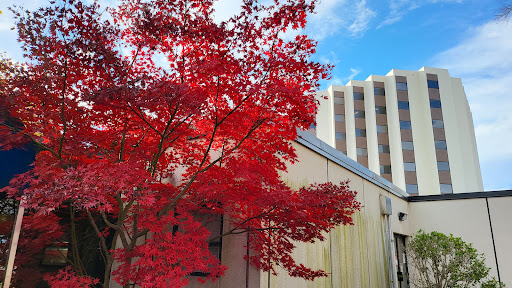 SMC - Mary Black Campus - Emergency Department - Thumbnail