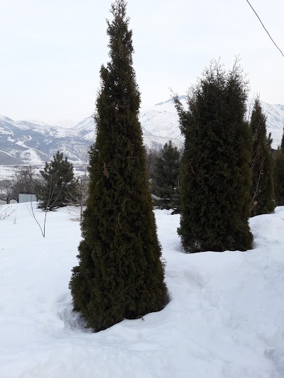 Photos of Turgenskaya Dacha. Semeynyy Otdykh