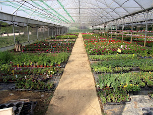 Photo n°4 de Etapes - ETP Synergie - La Ferme du Creux-Vincent à Foucherans (Organisme de soutien et de services aux personnes handicapées)