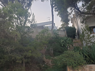 Photo n°5 de Les Jardins De Céleste à Lesquin (Paysagiste)