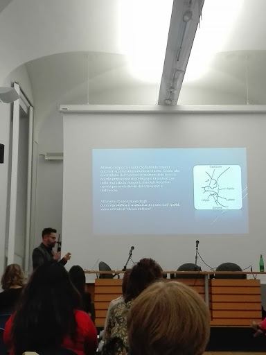 Osteopata D. O. Ciampino Dr Bruno Maria Camerani - Thumbnail