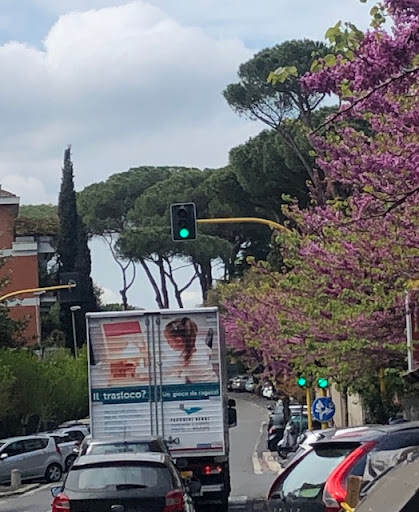 Facchini Verdi: Traslochi, Trasporti e Logistica a Trento e Bolzano - Thumbnail