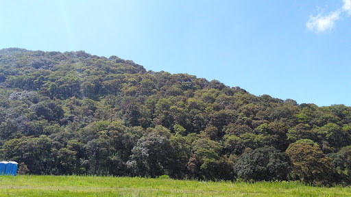 Ecoturístico Tepotzohtli, A.C. Park