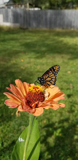 Meade Park - Visual