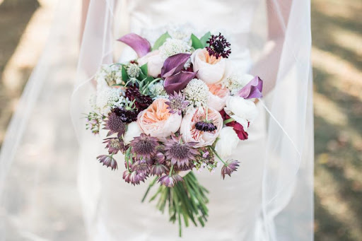 Viva Blooms LLC - Thumbnail