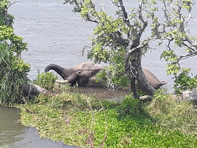 Parc national de Mana Pools