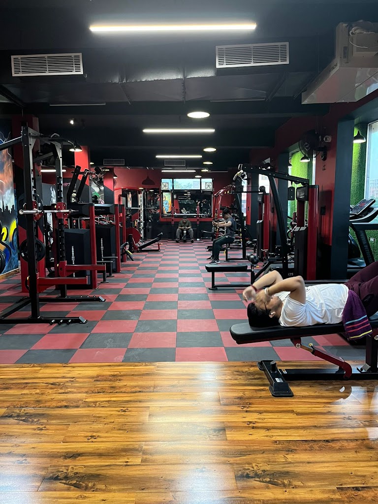 Love Fitness Club Best Gym In Jalandhar