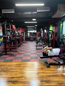 Love Fitness Club - Best Gym in Jalandhar – All in Jalandhar, Punjab