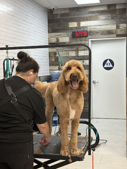 Suds N' Bones Grooming Parlor