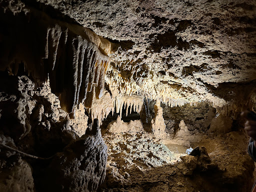 Cave Lastournelle - Thumbnail