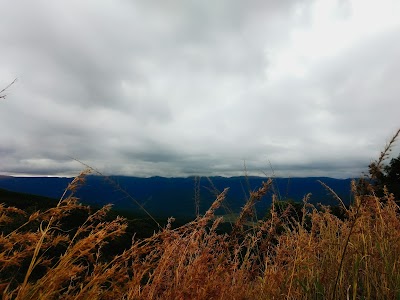 Photos of Mbulwa