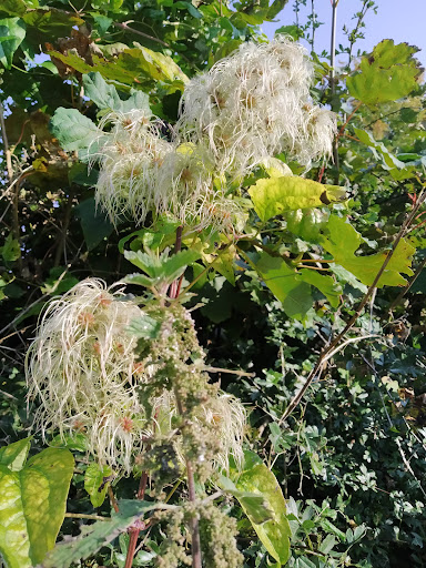 Sensual, tantric and kink massage