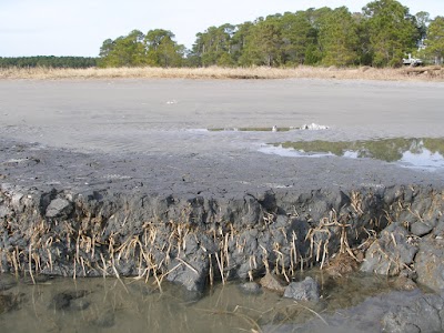 Photos of Hunting Island State Park