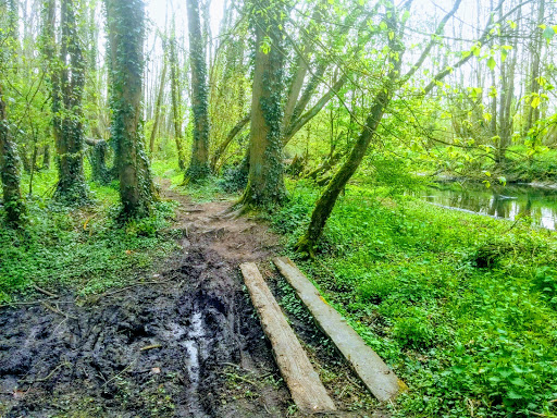 Marais de Marœuil - Thumbnail
