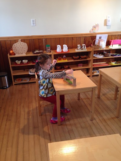 Montessori Children