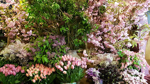 Photo n°14 de Maison Beaufrere à Paris (Fleuriste)
