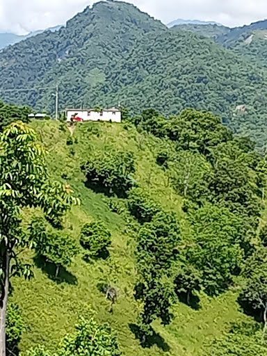 El Pochote, Jalpan