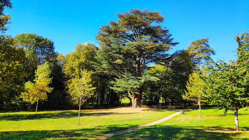Commune de Saint Genest Lerpt